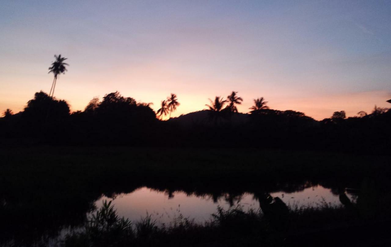 Tanabendang Banglos Pantai Cenang  Exterior foto